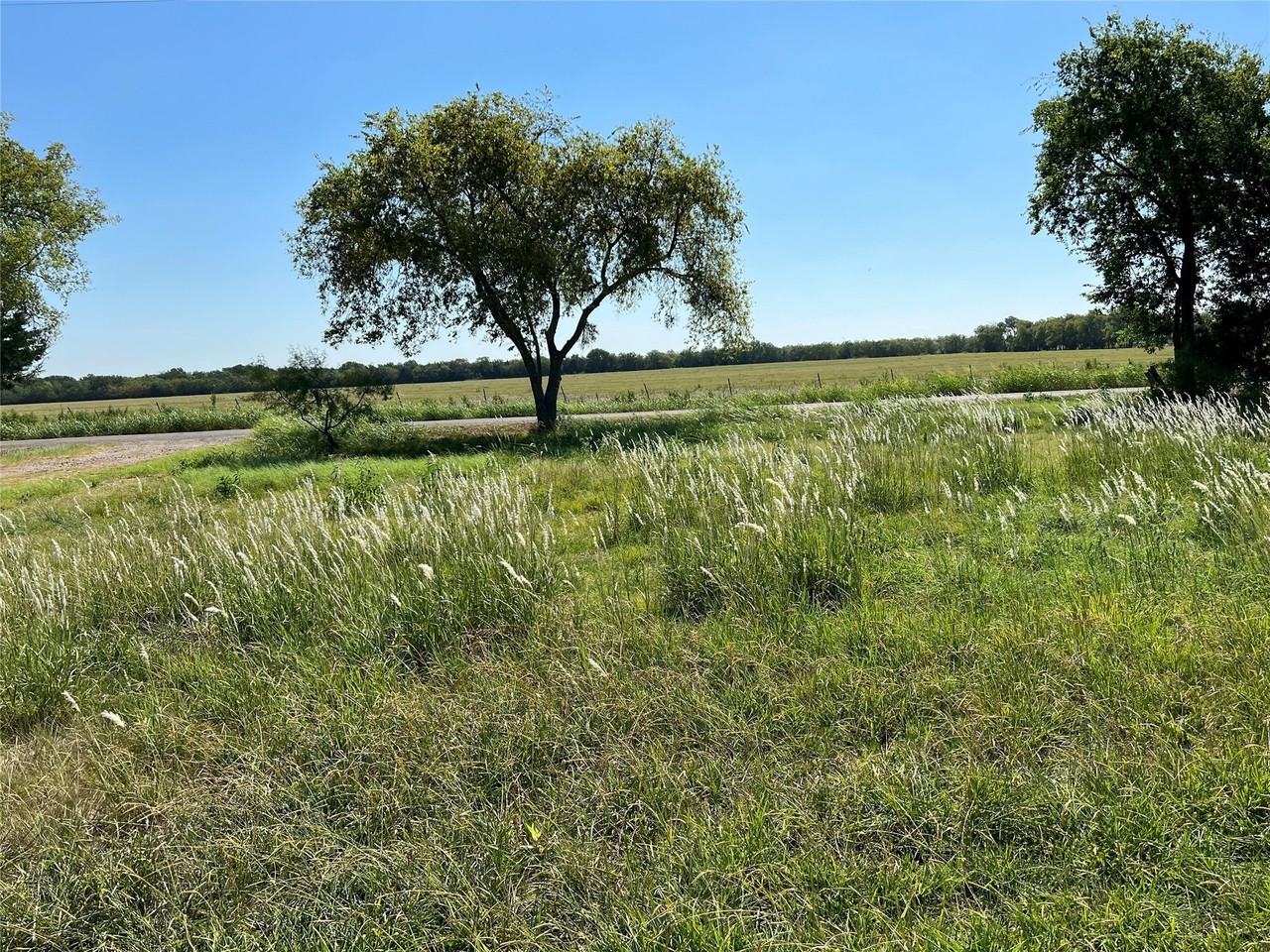4418 County Road 2596 - Photo 2 of 19
