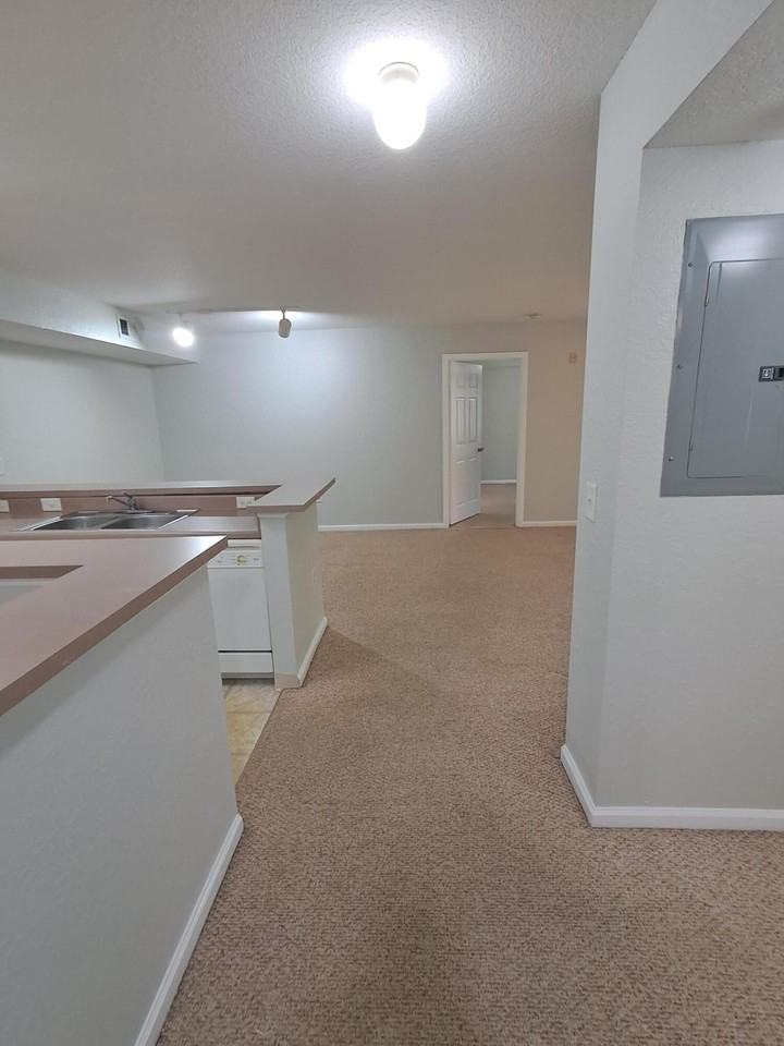 161 Sw Palm Dr #204 - Photo 4 of 33