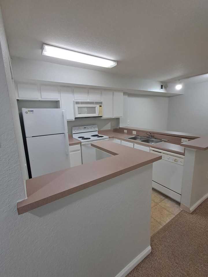 161 Sw Palm Dr #204 - Photo 5 of 33