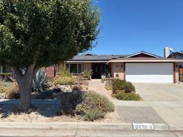 featured image of Pineland Ave
