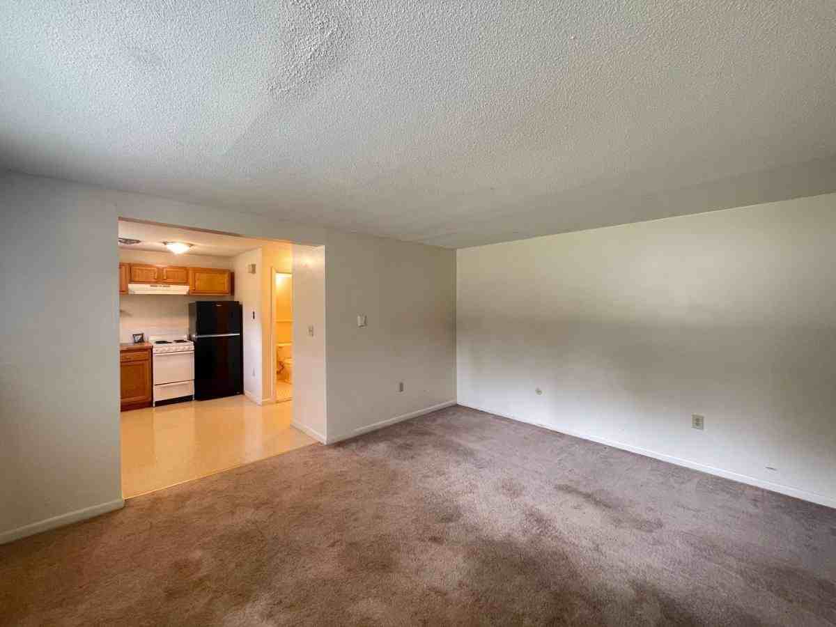 177 Loudon Rd #203 - Photo 5 of 10