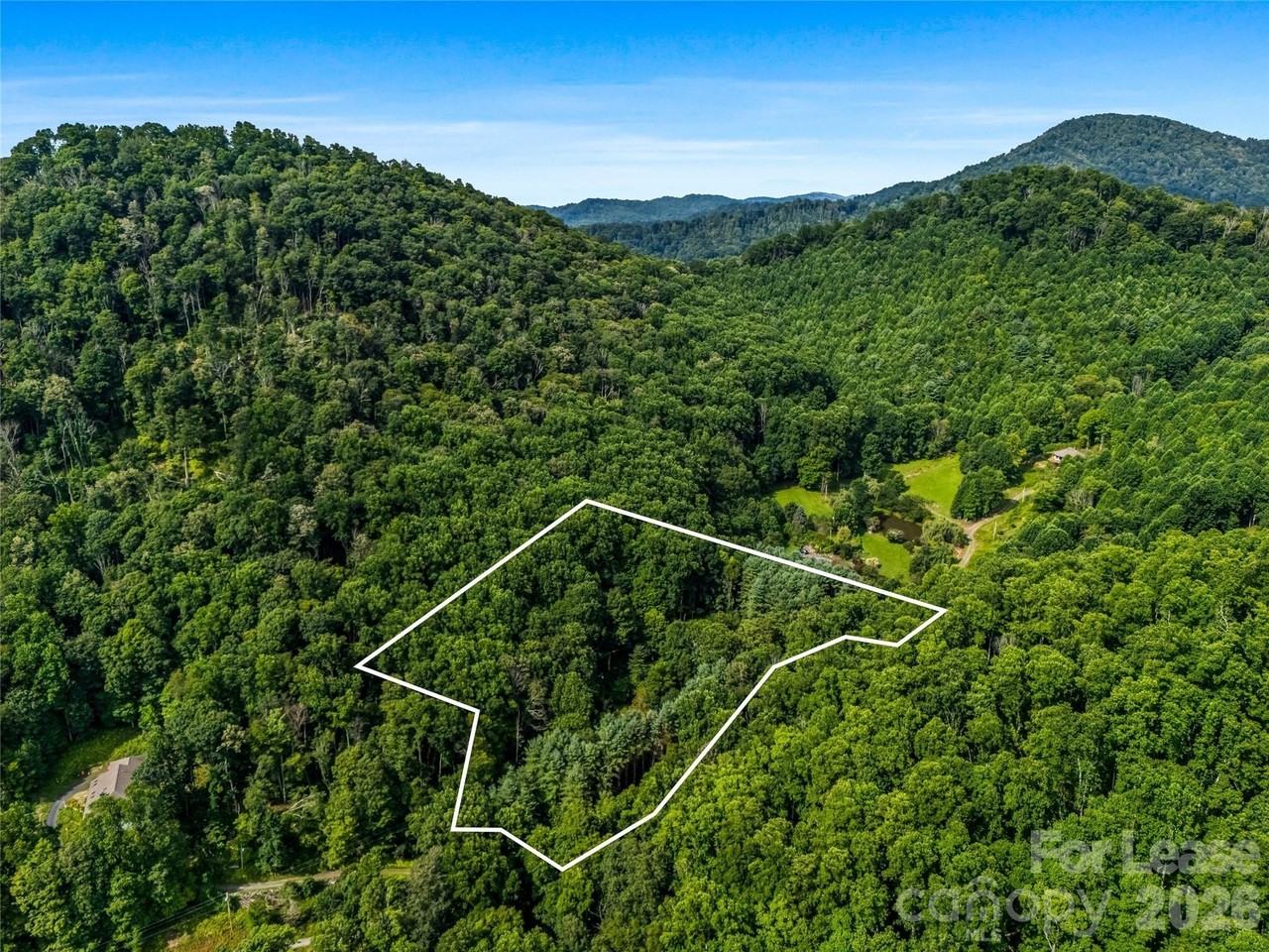 81 Summer Trees Ln - Photo 5 of 42