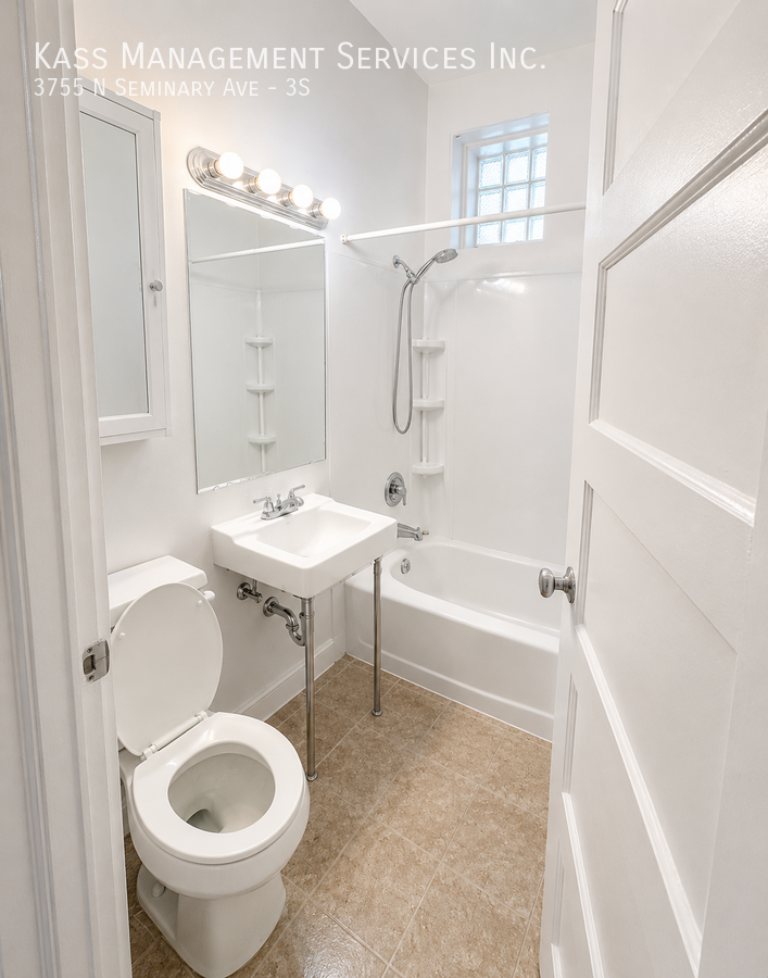 3755 N Seminary Ave #3S - Photo 4 of 5