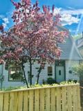 351 Foley St - Photo 1 of 1