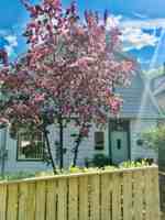 featured image of 351 Foley St