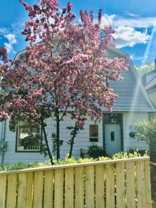 351 Foley St - Photo 1 of 1