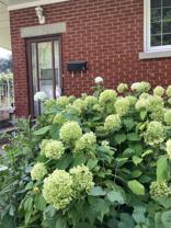 478 Wolffdale Crescent #B - Photo 1 of 1