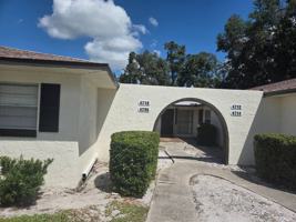 featured image of 4718 Leucadendra Dr