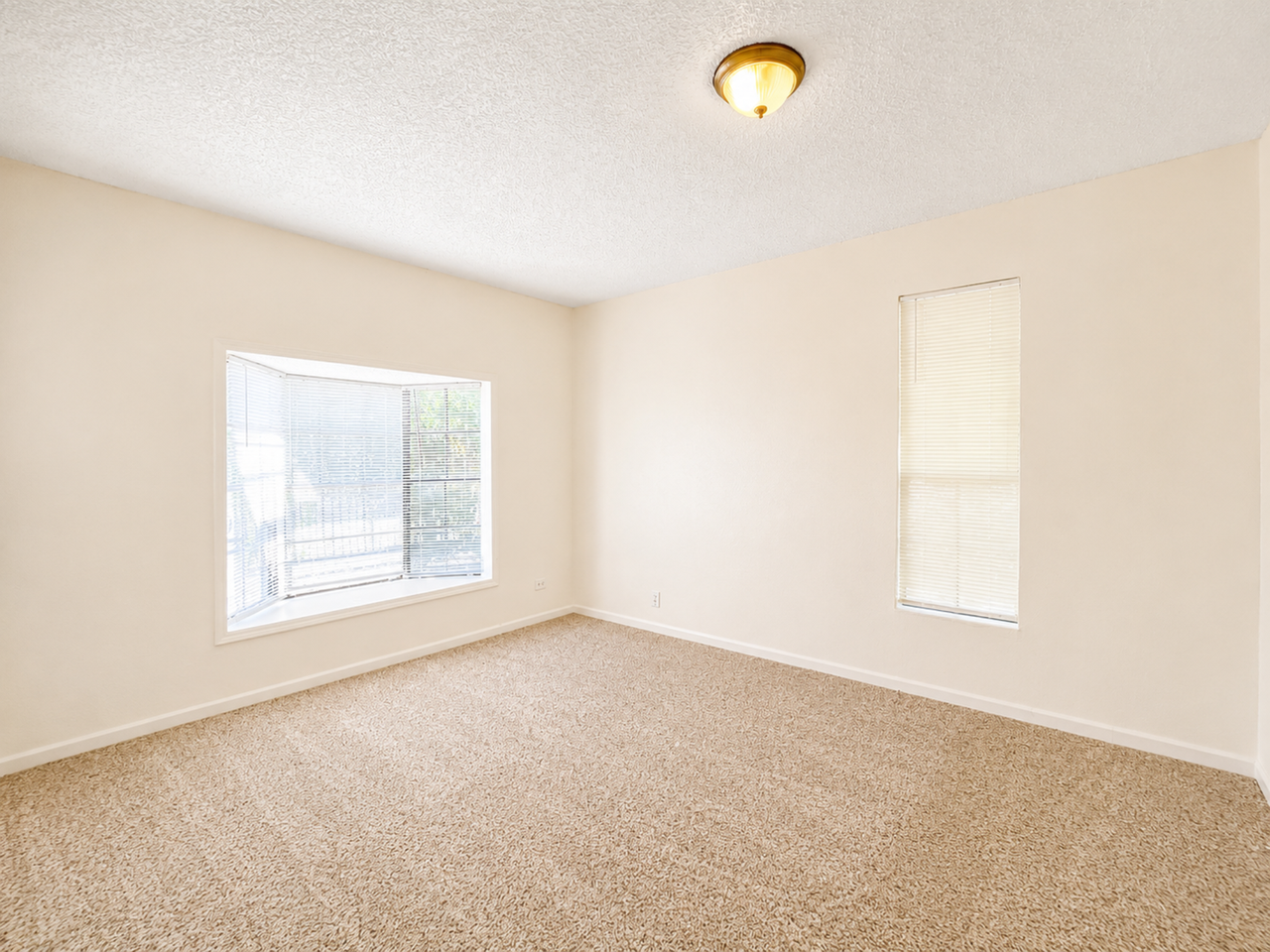 1203 Lamar St - Photo 7 of 13
