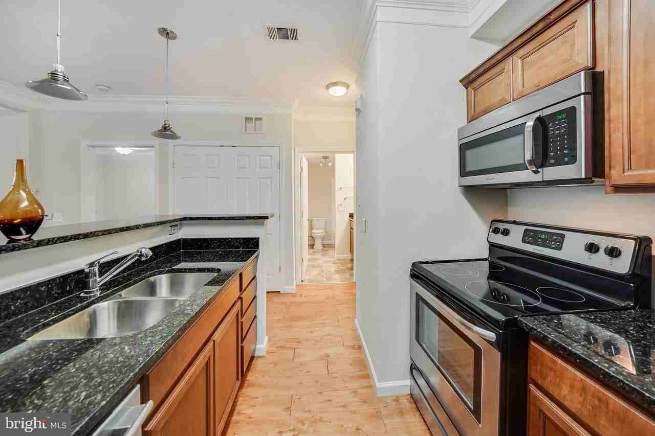 1550 Spring Gate Dr #8103 - Photo 5 of 29