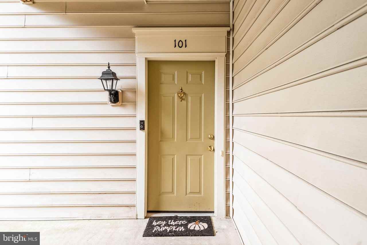 8202 Catbird Cir #101 - Photo 5 of 22