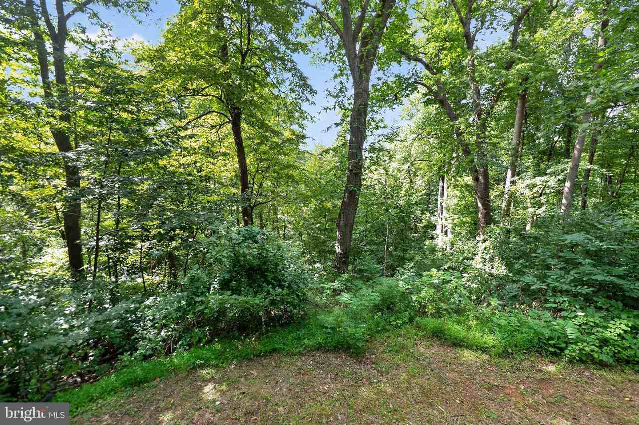 261 Rocky Spring Ln - Photo 7 of 34