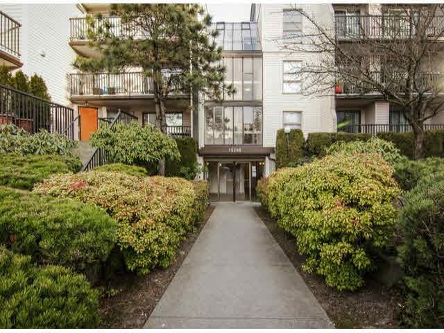 15288 100A Avenue #304 - Photo 7 of 9