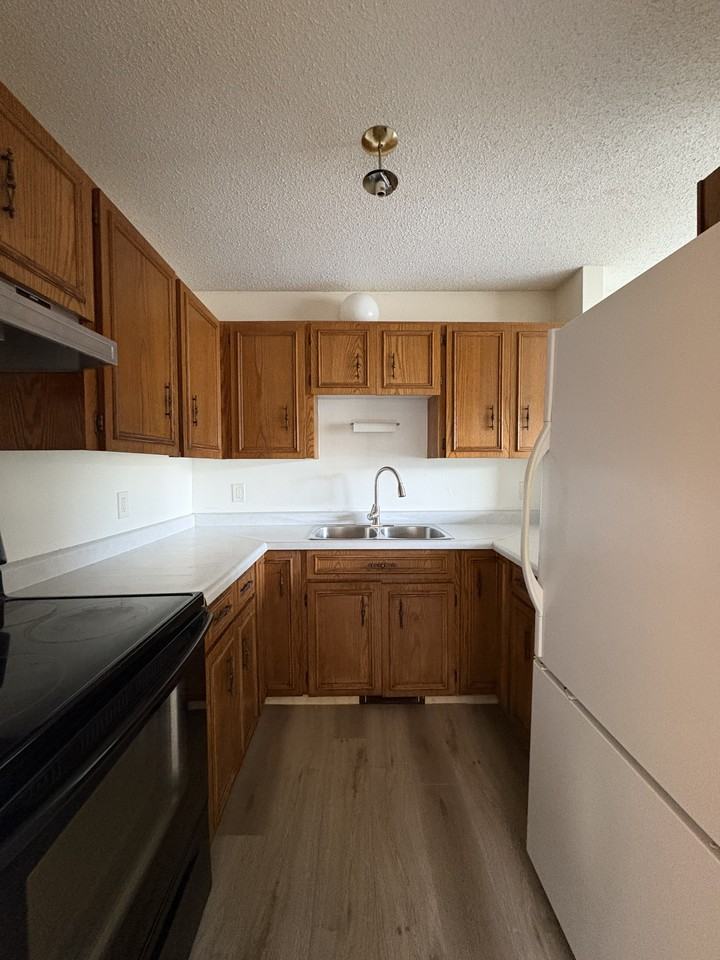 496 King Edward St - Photo 5 of 17