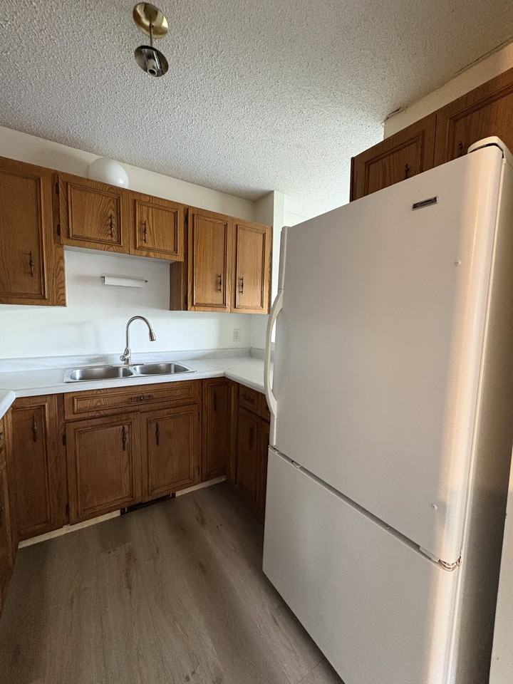 496 King Edward St - Photo 6 of 17