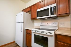 featured image of 101 101 Elliot Lane - 218 Wolfe Street