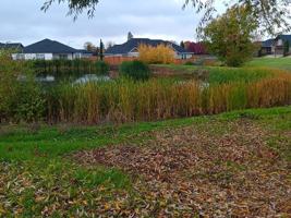 featured image of 925 Callaway Dr
