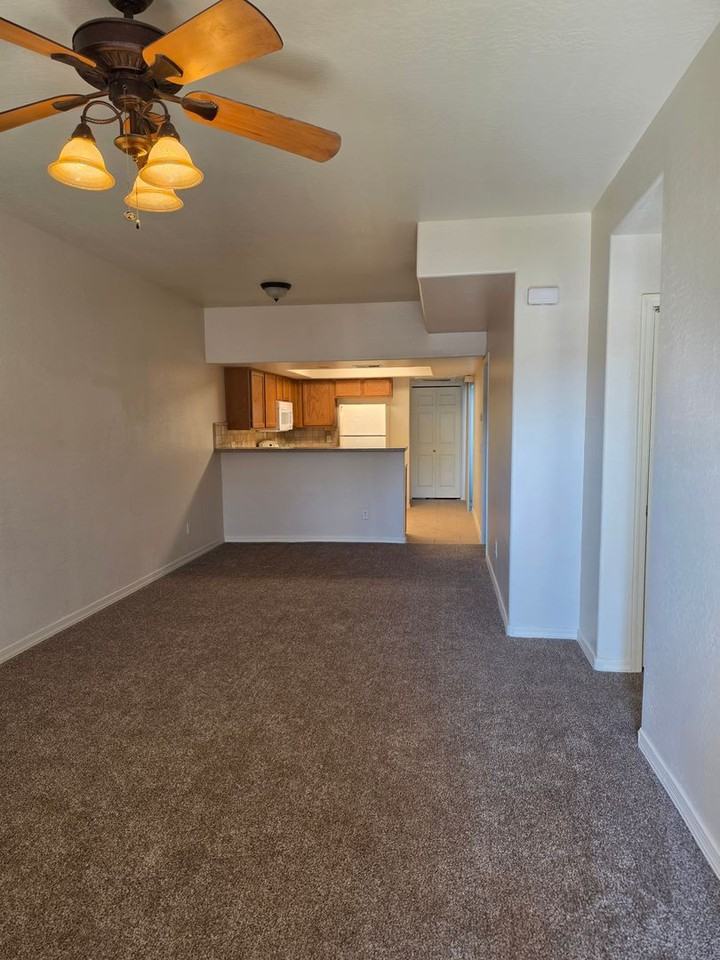 537 S Delaware Dr #104 - Photo 3 of 12