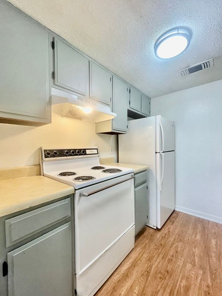 Chestnut Place Apartments - Photo 6 of 27