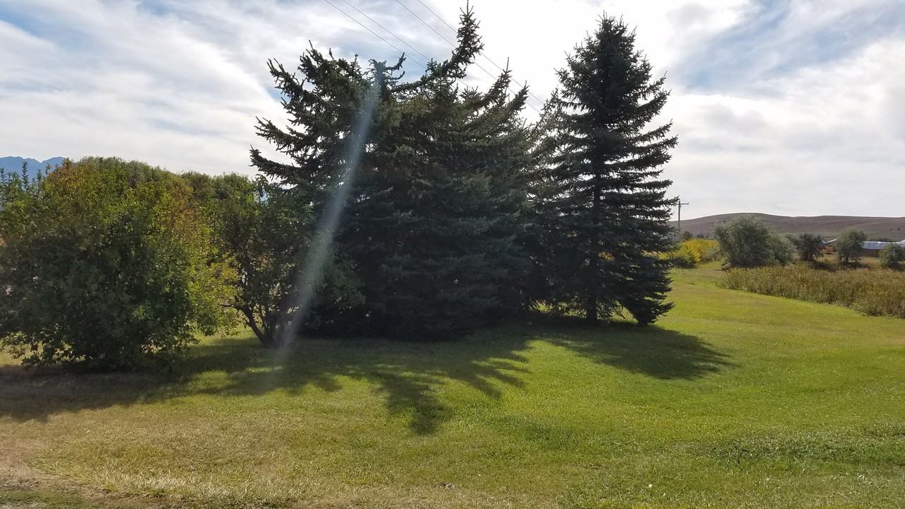 33251 Gingras Springs Rd - Photo 3 of 20