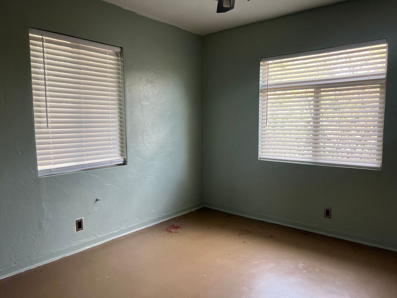 2702 E Sylvia St - Photo 6 of 9
