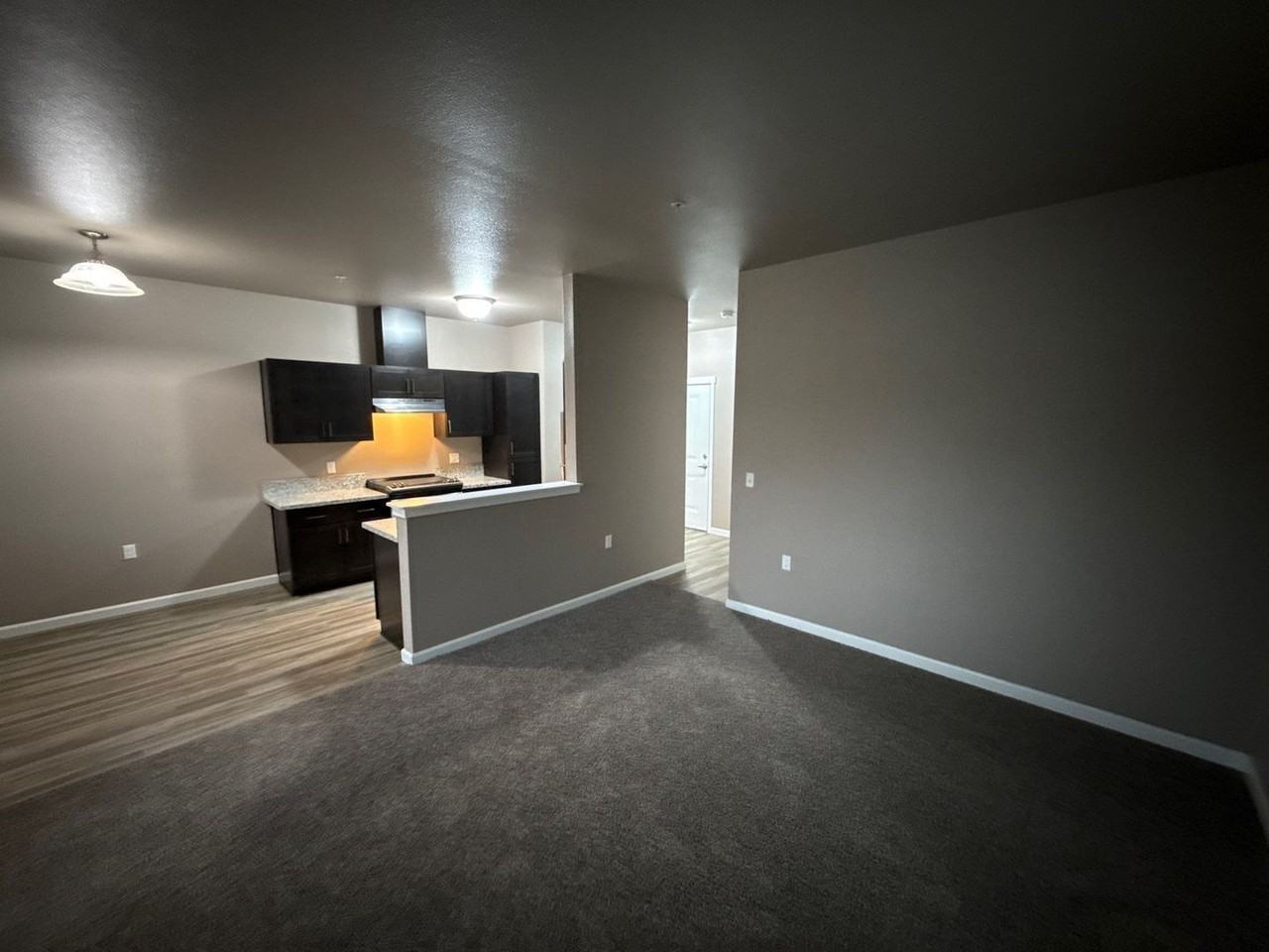 4225 Hawthorne Ave Ne #113 - Photo 4 of 20