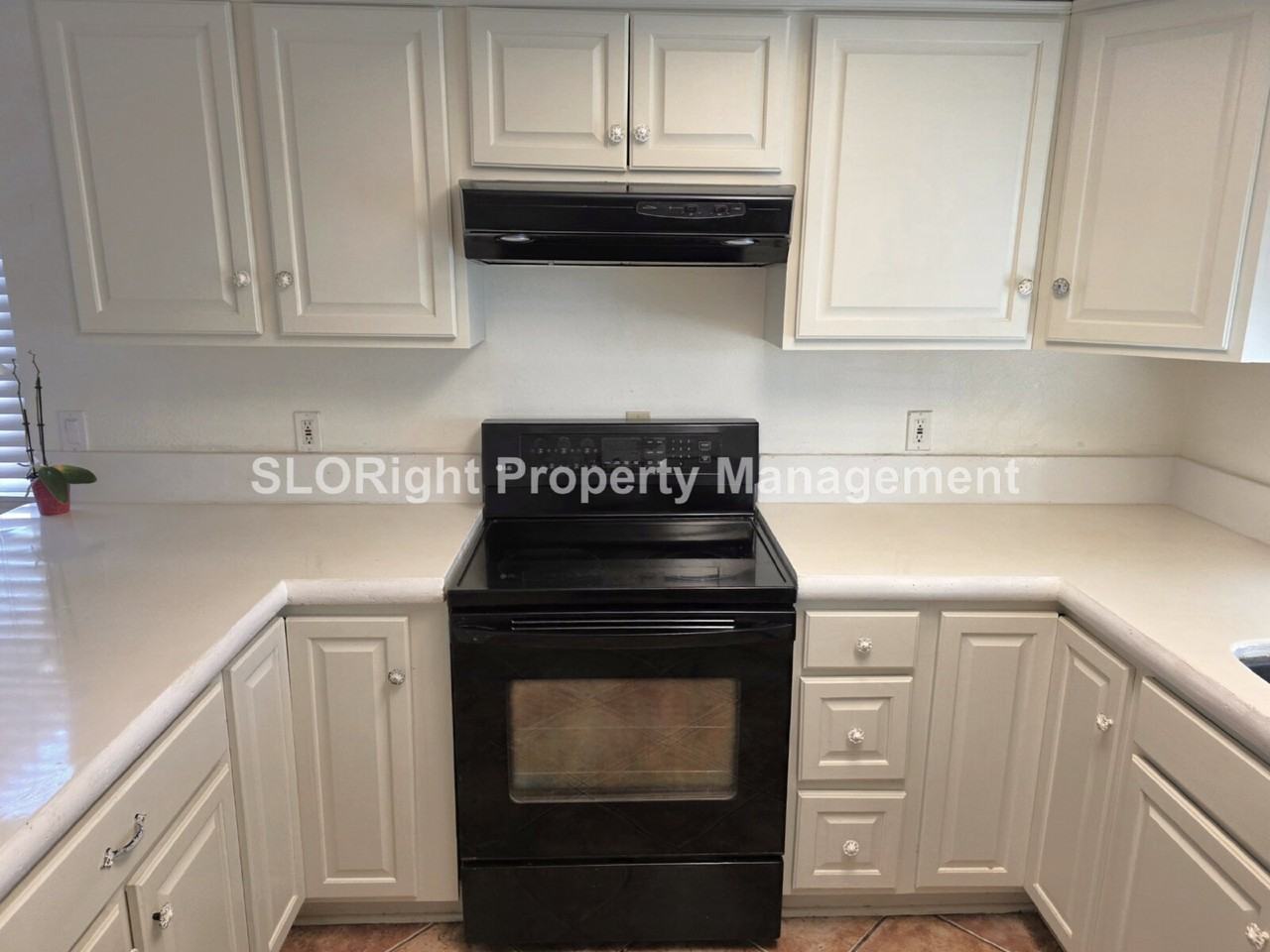 768 Shamrock Ln - Photo 6 of 19