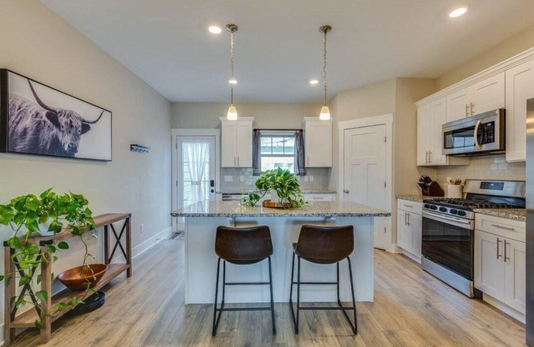 1527 White Tip Ln - Photo 4 of 24