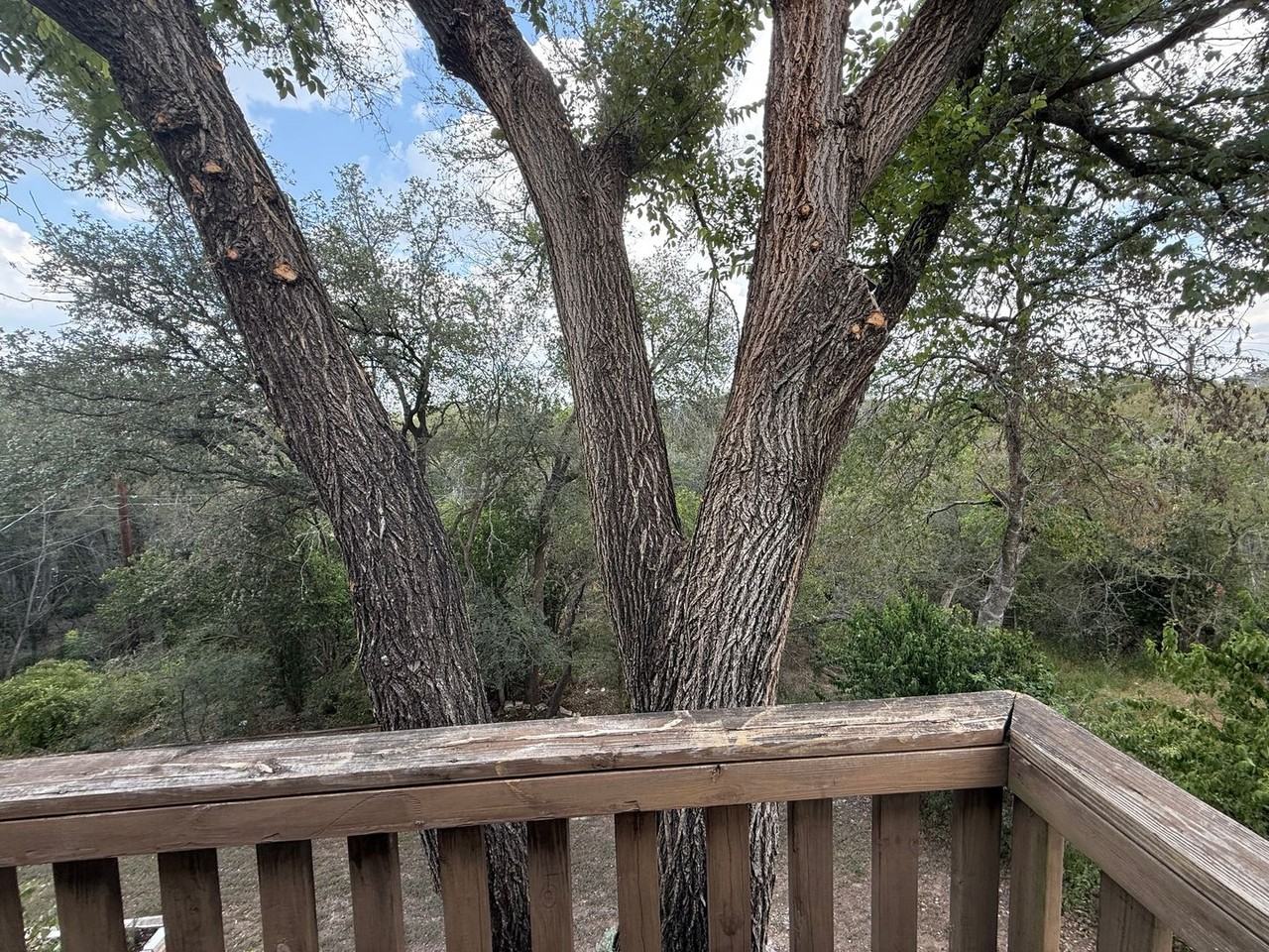 812A Ramble Ln - Photo 3 of 12