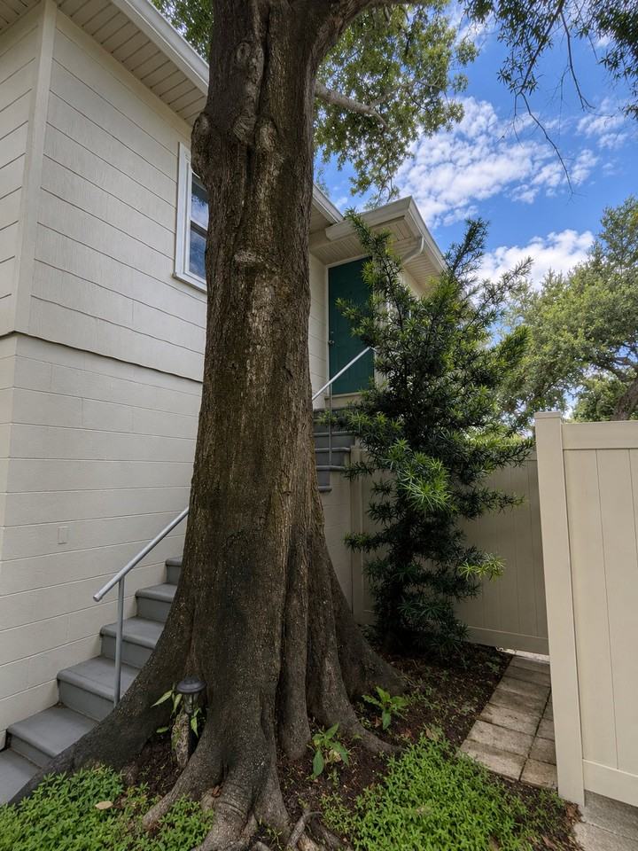 1614 24th Ave N - Photo 5 of 15