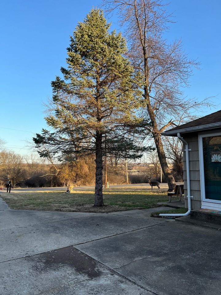 8120 Agnes Ave - Photo 3 of 14