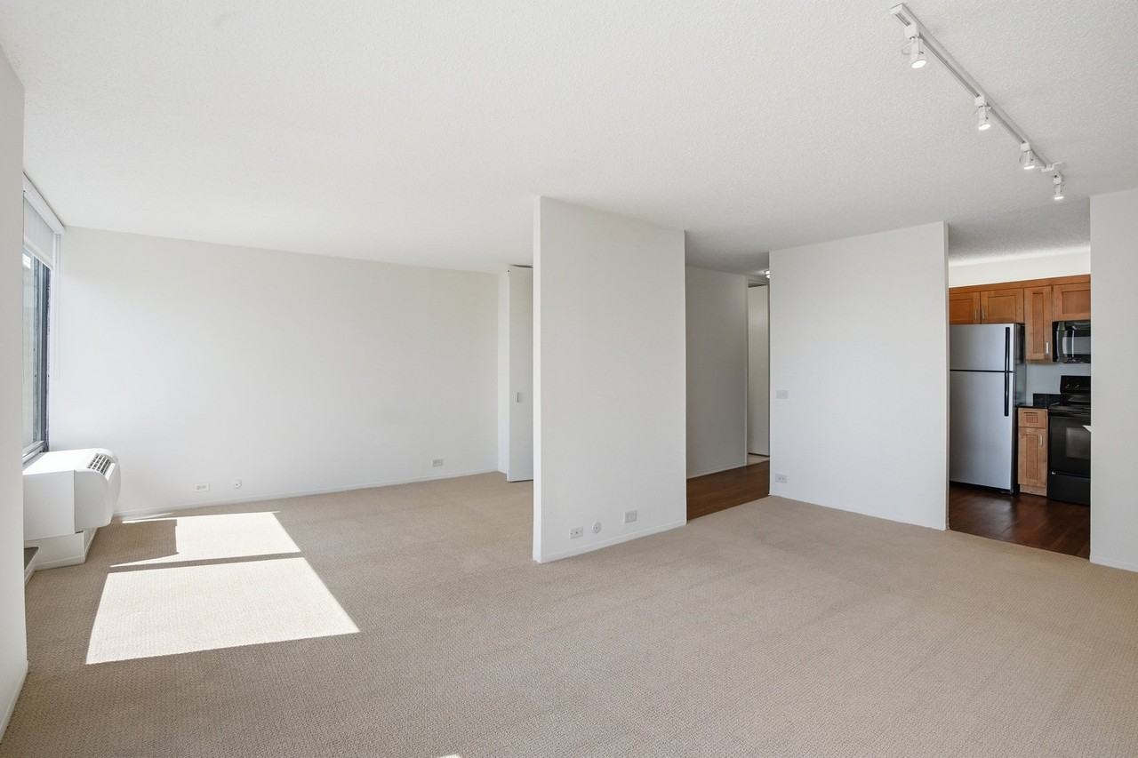 237 E Wacker Dr - Photo 5 of 7