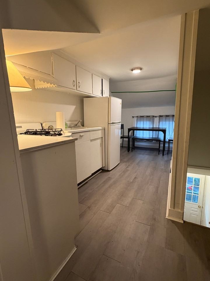 108 5Th Street Ithaca #1-2 - Photo 4 of 5