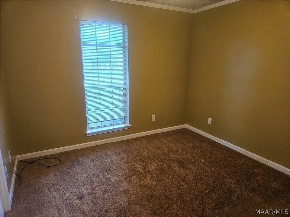 1624 Vista View Dr - Photo 4 of 11