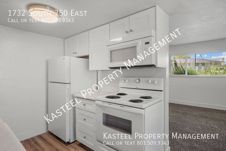1732 S 750 E - Photo 4 of 19
