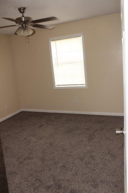 215 Begonia Dr - Photo 6 of 15