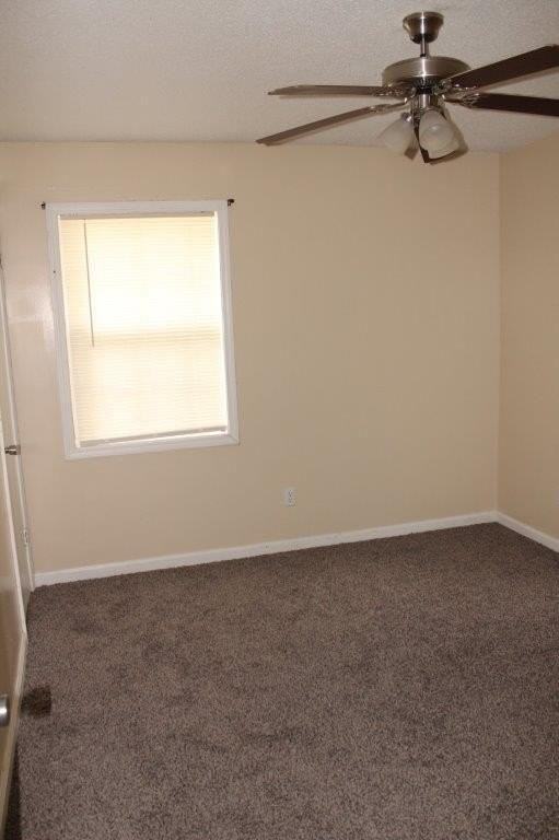 215 Begonia Dr - Photo 7 of 15