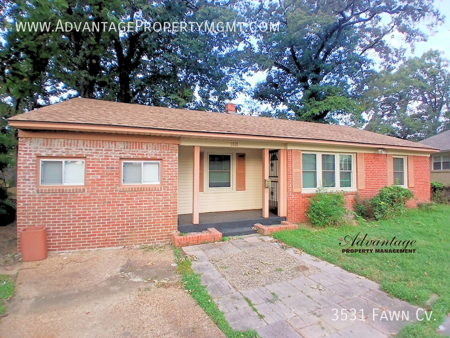 3531 Fawn Cv - Photo 3 of 18