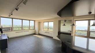 3950 N Lake Shore Dr #1100A - Photo 1 of 1
