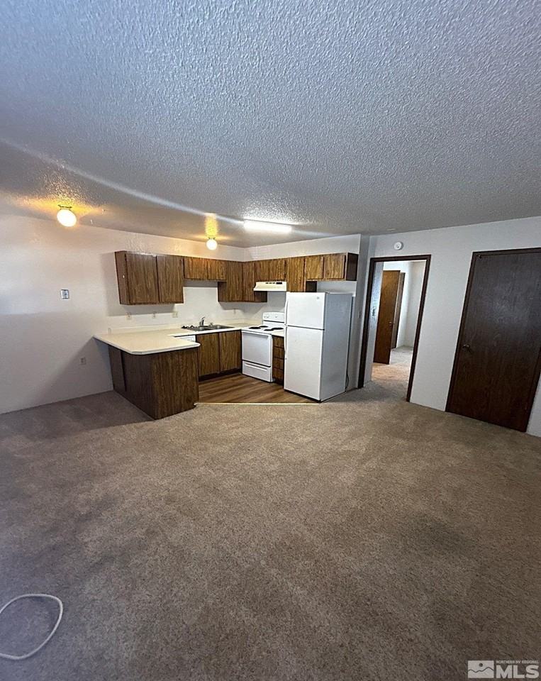 3563 Carlos Ln Apt 3 - Photo 6 of 12