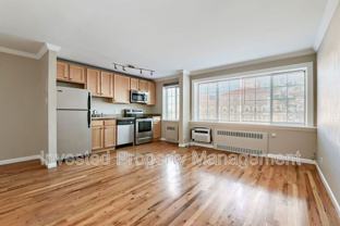 1450 Albion St #304 - Photo 1 of 1