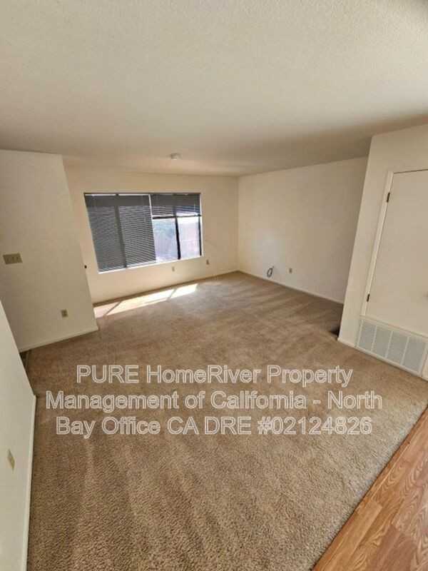 619 Donner Ln - Photo 4 of 15