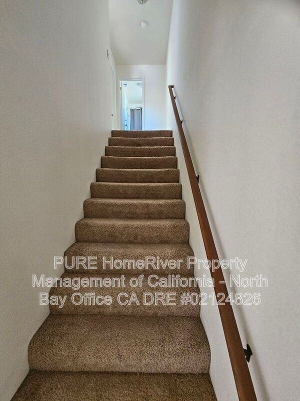 619 Donner Ln - Photo 6 of 15