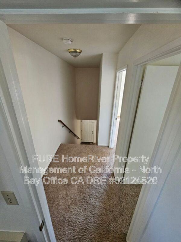 619 Donner Ln - Photo 7 of 15