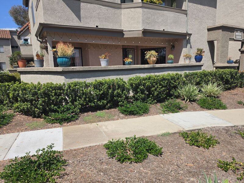 28201 Montecito - Photo 2 of 49