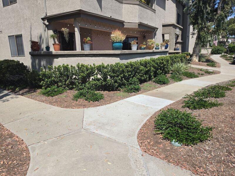 28201 Montecito - Photo 3 of 49