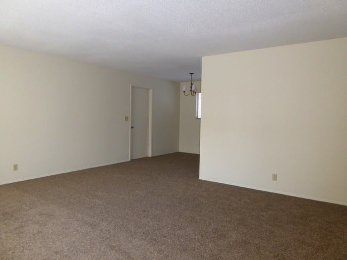 17 Glenn Ayre St - Photo 3 of 6