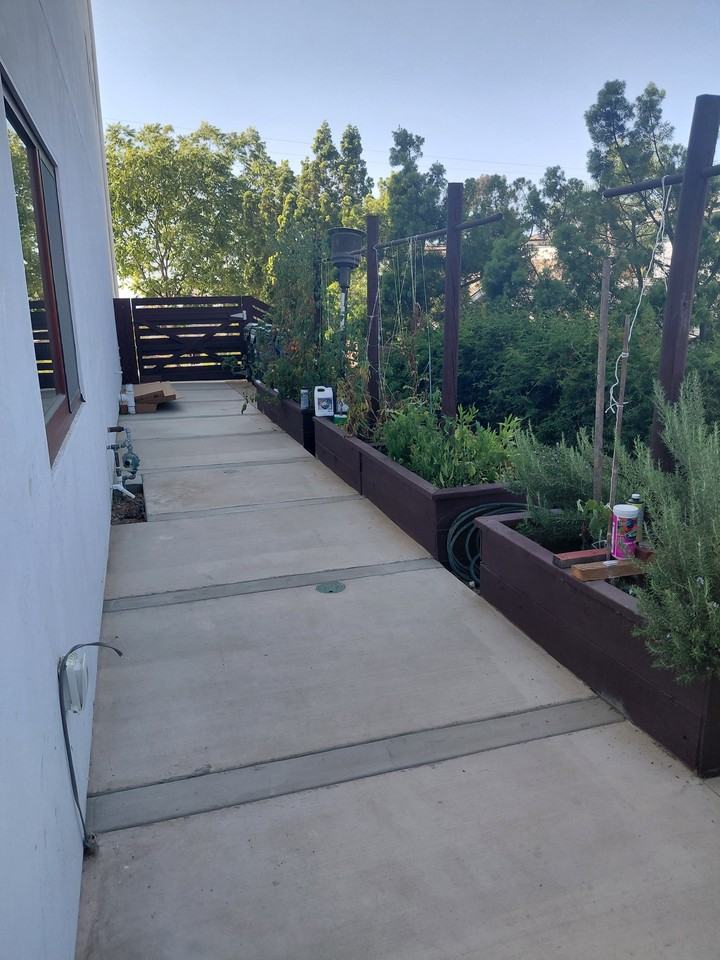401 Washingtonia Dr #1 - Photo 3 of 19