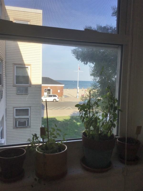 71 Revere Beach Blvd - Photo 4 of 20