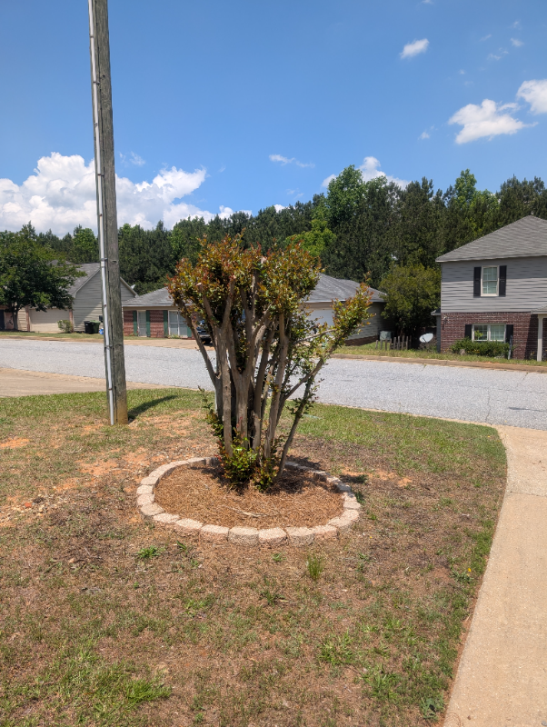 1341 Bunker Ridge Ln - Photo 2 of 48